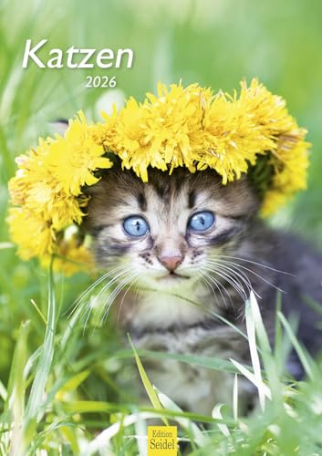 Edition Seidel Premium Kalender Katzen 2026 Format DIN A3 Wandkalender Katzenkalender Haustiere Kätzchen Katze Kater Kitten Katzenkinder Katzenbabys