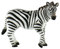 Bullyland 63675 - Spielfigur Zebra, ca. 11,2 cm große Tierfigur, detailgetreu, PVC-frei, ideal als kleines Geschenk für Kinder ab 3 Jahren
