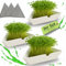 Generisch NEU! Kresse Anzuchtschalen 3er Set – Hochwertige Kresseschalen aus Keramik für die einfache Kresseanzucht, Anzuchtschale für gesunde Microgreens, inklusive 3 Kressesiebe – ideal für alle