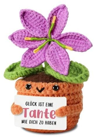 RgitFzi Beste Tante Geschenk, Pocket Hug Häkelblume im Topf mit Spruchkarte, Geschenk Tante Geburtstag für Tante werdende Tante Schwester Freundin Muttertag Liebe Tante Dankeschön