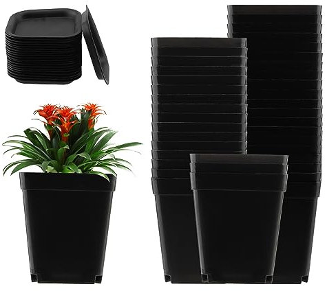 ZEONHEI 30 vasi per piante grasse da 7 cm, piccoli vasi per piante in vaso, in plastica, quadrati, per piante grasse, piccole piante in vaso, colore nero