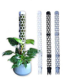 Rankhilfe für Kletterpflanzen erweiterbar - Moosstab - Kletterhilfe - Moss Pole - Rankstab - Monstera - Efeutute - Philodendron (100, Weiß)