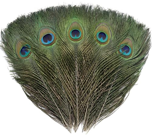 Ballinger Natural Craft Peacock Feathers Bulk,16Pcs,10-12inch | Real Green Peacock Feather with Colorful Big Eyes for DIY Crafts,Wedding Holiday Decor,and Floral Arrangements