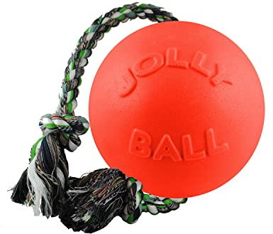 Jolly Pets Romp-N-Roll Rope & Ball Dog Toy, 4.5 in Small, Orange