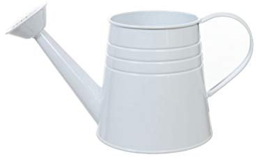 Vintage Metal Watering Can Country Kitchen Home Accessory Planter Vase in 2 Pastel Colours Green or White