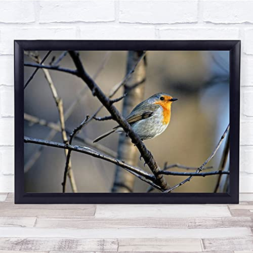 Fingerprint Designs Little Red Robin Bird Nature Park Bokeh Tree Branch Twig Wall Art Print