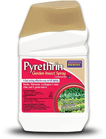 Bonide Pyrethrin Garden Insect Spray Concentrate, 16 oz