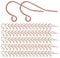 Earring Hooks 925 Silver Plated Ear Wires Fish Hook Earring for DIY Jewelry Customize Making 300 Pcs, Rose Gold