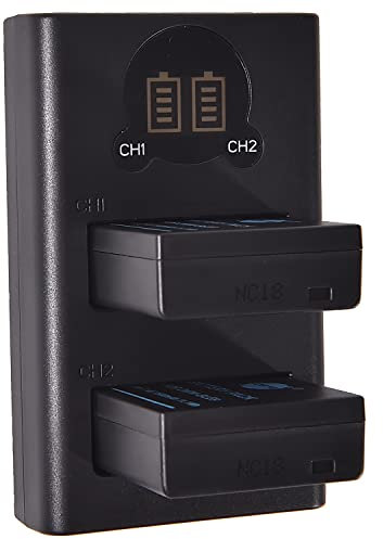 DSTE-DE DSTE Lot de 2 batteries de rechange DMW-BLG10 + double chargeur USB avec écran LCD Compatible avec DMW-BLG10E DMW-BLE9 et BP-DC15, DC-LX100 II, DMC-GF6, GX80, GX85