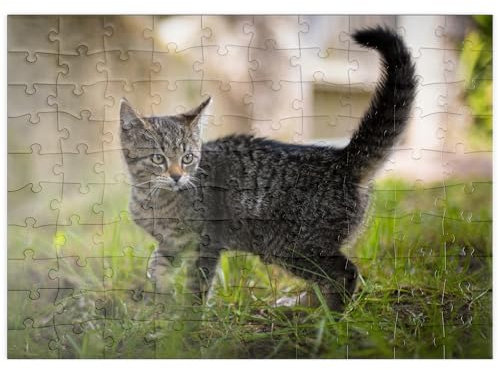 MyPuzzle Kleine Nala - Premium 100 Teile Puzzle - MyPuzzle Sonderkollektion von DREI Hasen in der Abendsonne