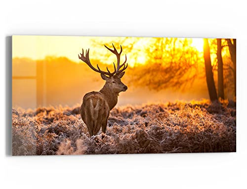 DEQORI Glasbild Echtglas | Motiv Hirsch am Wintermorgen | horizontal einteilig 60x30 cm | schöne Dekoration | Wandbild für Wohnzimmer, Schlafzimmer, Flur & Küche | moderne Wanddeko