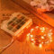 Ariceleo 65.6ft 200 LED Fairy Lights - 1 Pack, Waterproof, Orange, Battery Operated String Lights with Remote, Timer,Twinkle, Flexible Copper Wire for Outdoor, Bedroom, Wedding, Christmas Décor