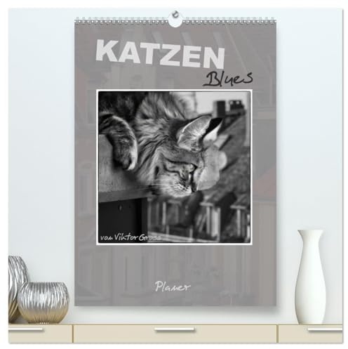 Katzen Blues/Planer (hochwertiger Premium Wandkalender 2026 DIN A2 hoch), Kunstdruck in Hochglanz: Norwegische Waldkatzen - über den Dächern von Münster (CALVENDO Tiere)