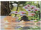 ABAKUHAUS Spa Puzzle, Spa mit Kerzen Orchideen, Heirloom-Qualität lustige Aktivität für die Familie langlebiger Karton, 1000 Stücke, Blassgrün Purpurrot