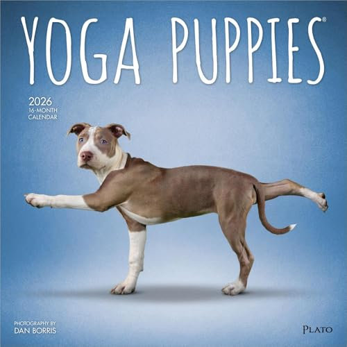 Yoga Puppies – Welpen Yoga 2026 – 16-Monatskalender: Original BrownTrout-Kalender [Mehrsprachig] [Kalender] (Wall-Kalender)