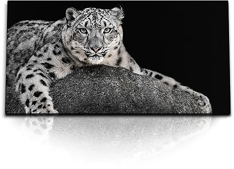 Paul Sinus Kunstdruck Bilder 120x60cm Schneeleopard Leopard Tierfotografie Raubkatze Schwarz Weiß