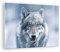 ARTTOR Bilder auf Glas Wolf Raubtier Wildheit Glasbild 70x50cm Wandbilder Dekoration Wohnzimmer Schlafzimmer Küche Deko Klein Wanddeko Bild im Glas Wand Kunstdruck Art Modern Wall Decor GAA70x50-5073