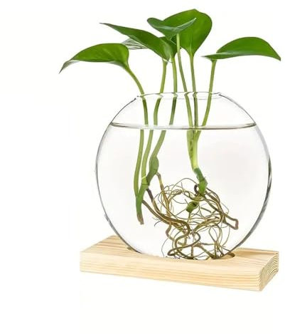 Fioriere rotonde in vetro, contenitore per piante idroponiche, vaso di vetro per piante, fioriere rotonde in vetro con supporto in legno, elegante vaso in vetro (naturale)