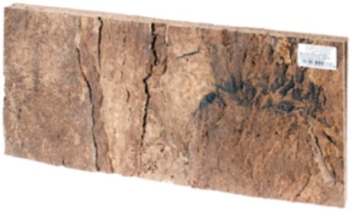 HOBBY Terraristik Kork Rückwand Laos I 60 x 30 x 1,5 cm I 2 Stück I Gewalztes Naturkork I Nur innerhalb von Trockenterrarien einzusetzen