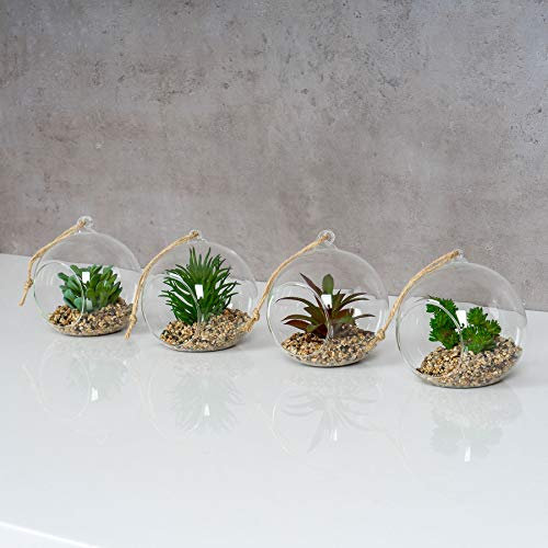 levandeo 4er Set Sukkulenten Glas 10x12cm Pflanze Grün Tischdeko Kunstpflanze Deko Kunstblume