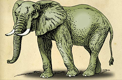 HANSEPUZZLE 84660 - weißer Elefant Puzzle 500 Teile | Hintergründe Puzzle mit hochwertiger Puzzle Aufbewahrung: Kartonbox und wiederverschließbarem Beutel | Puzzle-Maße: 46 x 30 cm