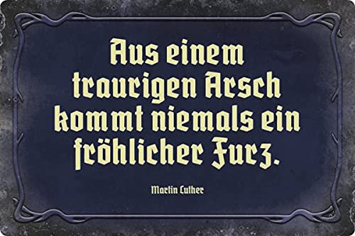 Metall Schild 20x30cm Aus einem traurigen Arsch Sprüche Blechschild