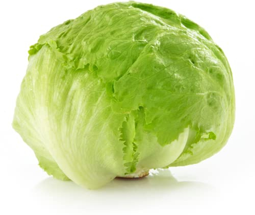 Fresh Lettuce – 10 Pack – Crisp, Clean Salad Leaves for Restaurants, Catering, Meal Prep & Everyday Home Use