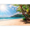 murando Photo Wallpaper Tropical Island 450x315 cm / 178x124 Non-Woven Premium Art Print Fleece Wall Mural Decoration Poster Picture Design Modern Palm Tree Beach Sea b-C-10309-a-a