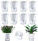 8 Packungen transparente, selbstbewässernde Töpfe für Zimmerpflanzen, 10.9 cm, selbstwässernde Pflanzgefäße, Orchidee, Kunststoff-Blumentöpfe für afrikanisches Veilchen, Kräuter, Gartentöpfe