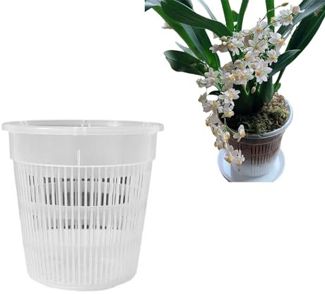 Fabulas – Pot à orchidée transparent avec trous, pots à orchidées transparents pour rempoter, pots en maille plastique respirant pour la visibilité des racines