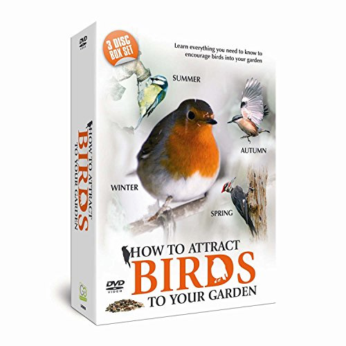 How To Attract Birds To Your Garden