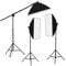 Fancierstudio Lighting Kit 2400 Watt Professional Video Lighting Kit With Three Softbox Lights, Boom Arm Hairlight Softbox, Lighting Kit for Studio Photography and Continuous Lighting (9004SB2)