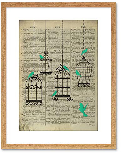 Wee Blue Coo UPCYCLE DICTIONARY BIRDCAGE BIRDS FRAMED ART PRINT POSTER F97X12401