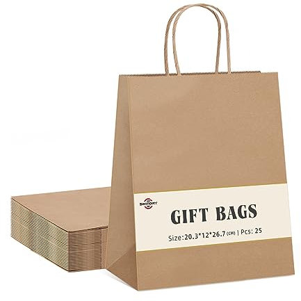 Switory 100pc Kraft Papiertüte, 20cm x 12cm x 26,5cm Brown Shopping Geschenktüte mit verdrehten Griffen für Partybevorzugung, Verpackung, Anpassung, Tragen, Einzelhandel, Waren, Hochzeit