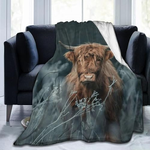Kuscheldecke Flauschig Ochse, Warme Flanell Fleecedecke Wohndecke Sofadecke, Weiche Plüsch Decke Blanket Für Kinder Erwachsene, Wendedecke Wolldecke Tagesdecke 220x240 XXLTier