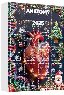 Weihnachts-Countdown-Kalender | 2025 2D Anatomie Figuren Advent - Menschlicher Körper Weihnachtskalender mit Gehirn, für Ärzte Liebhaber Urlaub Party Tisch Wand Schlafzimmer Fenster Tür Kamin Auto