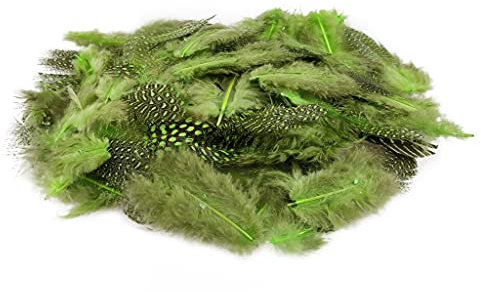 Netuno 150 Stück Deko Federn Grün 6g Perlhuhn Federn Gepunktete Federn Schmuckfedern Vogelfedern Bastelfedern Natur für DIY Basteln Dekoration Ostern Weihnachten Dekofigur