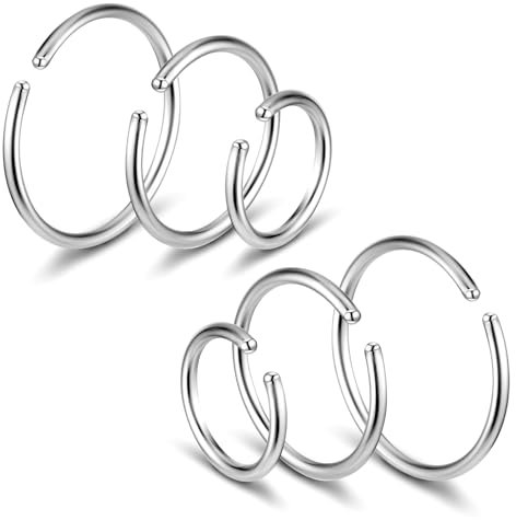 DIVINA VITAE 6 Stück Fake Nasenpiercing Ring Set, Fake Nase Lippe Ring,Nasenpiercing Schmuck Edelstahl Nasenringe Hoop, Septum-Knorpelring-Set Für Damen Männer(6mm 8mm 10mm)(Silber )