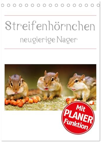 Streifenhörnchen - neugierige Nager (Tischkalender 2026 DIN A5 hoch), CALVENDO Monatskalender: Die Jäger und Sammler unter den Nagetieren (CALVENDO Tiere)