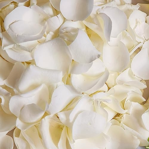 Koceko 200Pcs Dried Real White Rose Petals, Freeze Preserved Flower Petals