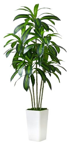 Artificial Dracaena Plant Indoor 5FT Fake Tree with White Tall Planter, Tall Fake Floor Plant in Pot, Artificial SilkPlant for Home Decor Office Living Room Porch Patio Housewarming(5 Trunks 150CM)