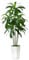 Artificial Dracaena Plant Indoor 5FT Fake Tree with White Tall Planter, Tall Fake Floor Plant in Pot, Artificial SilkPlant for Home Decor Office Living Room Porch Patio Housewarming(5 Trunks 150CM)