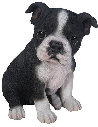 Pacific Giftware Hunde Figur Boston Terrier - Welpe Baby Dekofigur Tiere