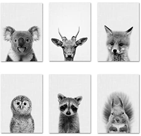 EXQULEG 6er Set Kinder Poster Tiere Thema Kinderzimmer Poster, Kinderzimmer Deko Bilder Babyzimmer Wandbilder Wandposter, Poster A4 ohne Bilderrahmen | Wandbilder Junge Mädchen