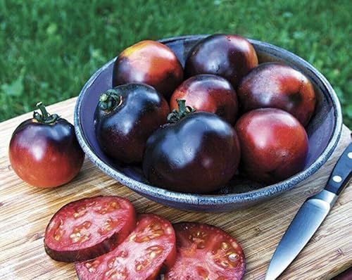 Buy4Seeds 8 Seeds Tomato Indigo Rose Easy to Grow