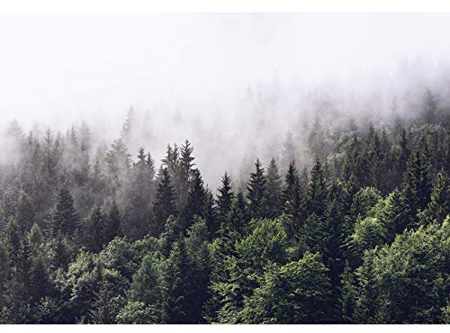 Wald Tapete in Grün Weiß | Tannenwald Fototapete in Dunkelgrün für Schlafzimmer und Flur | Vlies Fototapete mit Tannen in Nebel