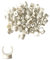 CZAKOMIX 50 Pezzi Clip Per Tubi Dell'acqua, 16 Mm Morsetti Per Tubi Di Tipo U, Clip Di Fissaggio Per Tubo In Plastica, Supporti Per Tubi, Accessori Per Tubi (Bianco)