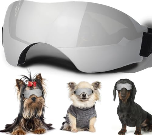 Sonnenbrille für kleine Hunde, mit verstellbarem Riemen, UV-Schutz, winddicht, geeignet für kleine Hunde, Haustierbrillen, Augenschutz