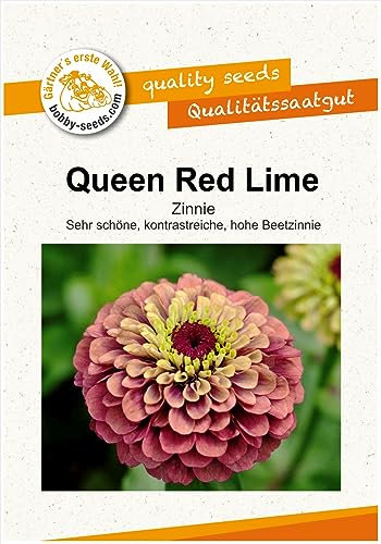 Blumensamen Queen Red Lime Zinnie Portion