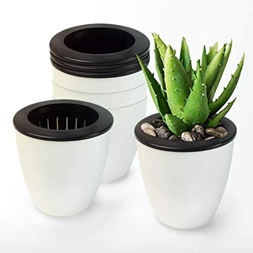 BeGrit Self Watering Plant Pot 11CM Indoor Plant Pot Herb Self Watering Planter Flower Pots with Water Reservoir Small Plant Containers for Indoor Outdoor Garden Office Patio